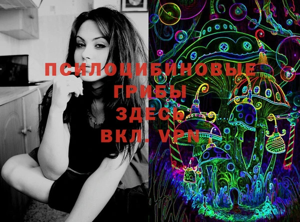 apvp Балахна