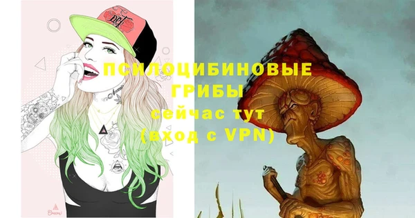 ПСИЛОЦИБИНОВЫЕ ГРИБЫ Балабаново