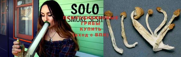 ПСИЛОЦИБИНОВЫЕ ГРИБЫ Балабаново