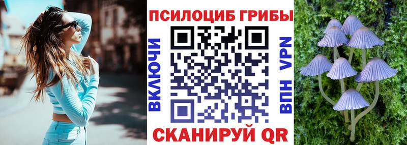 Псилоцибиновые грибы ЛСД  где найти   Видное 