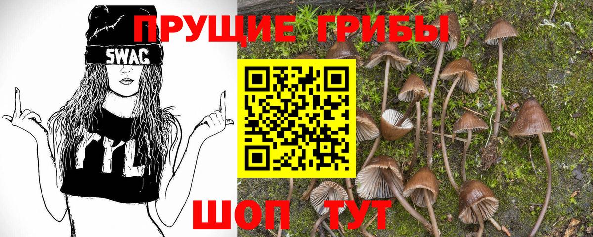 Галлюциногенные грибы мицелий  Вход с VPN  Псилоцибиновые грибы ЛСД  Видное 