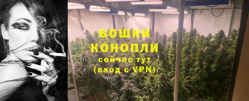 Бошки Шишки White Widow  Видное 